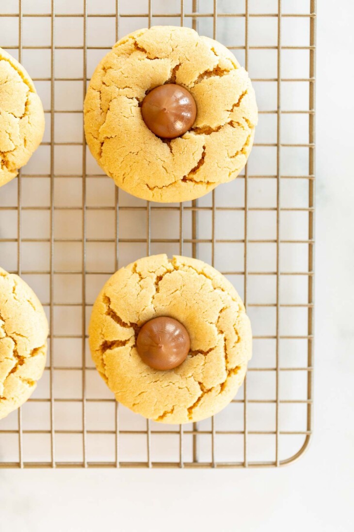 Peanut Butter Blossoms Recipe Easy Cookie Recipes