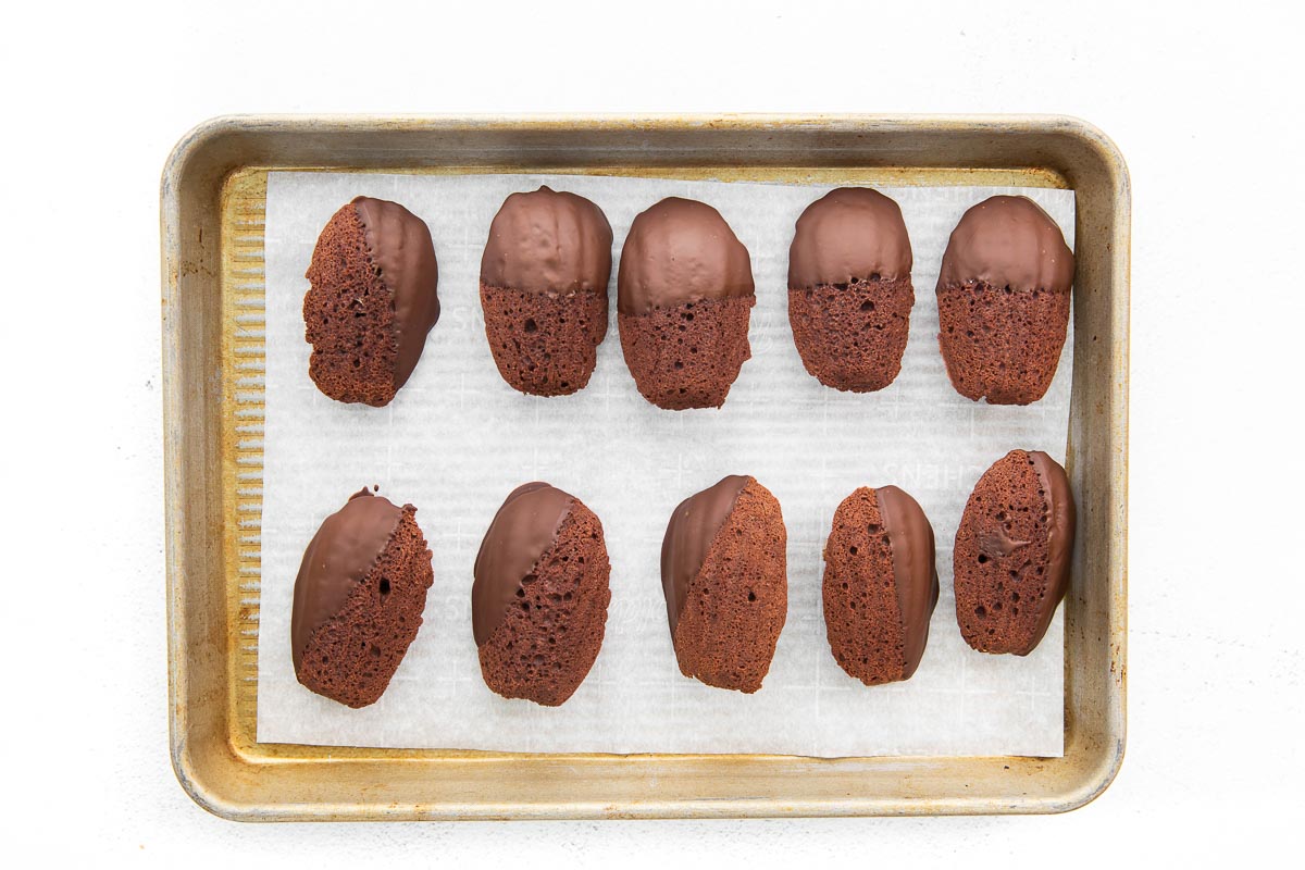 chocolate madeleines dipped in chocolate