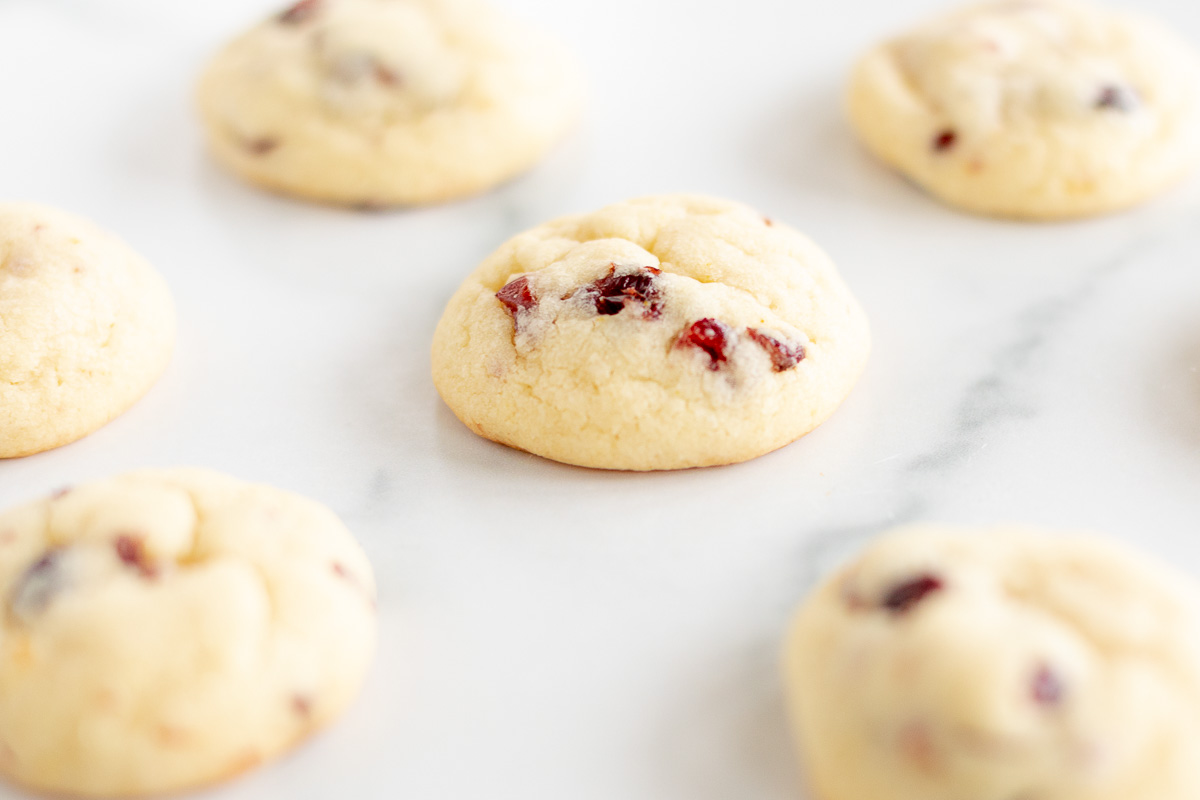 cookie with dried cranberries